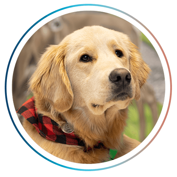 Marshfield's Dolly Pawton