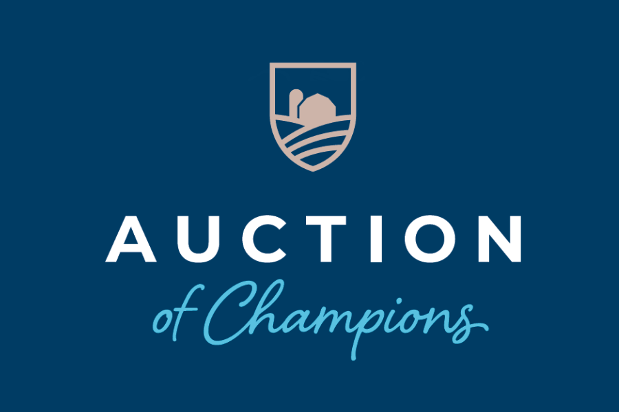  Auction of Champions